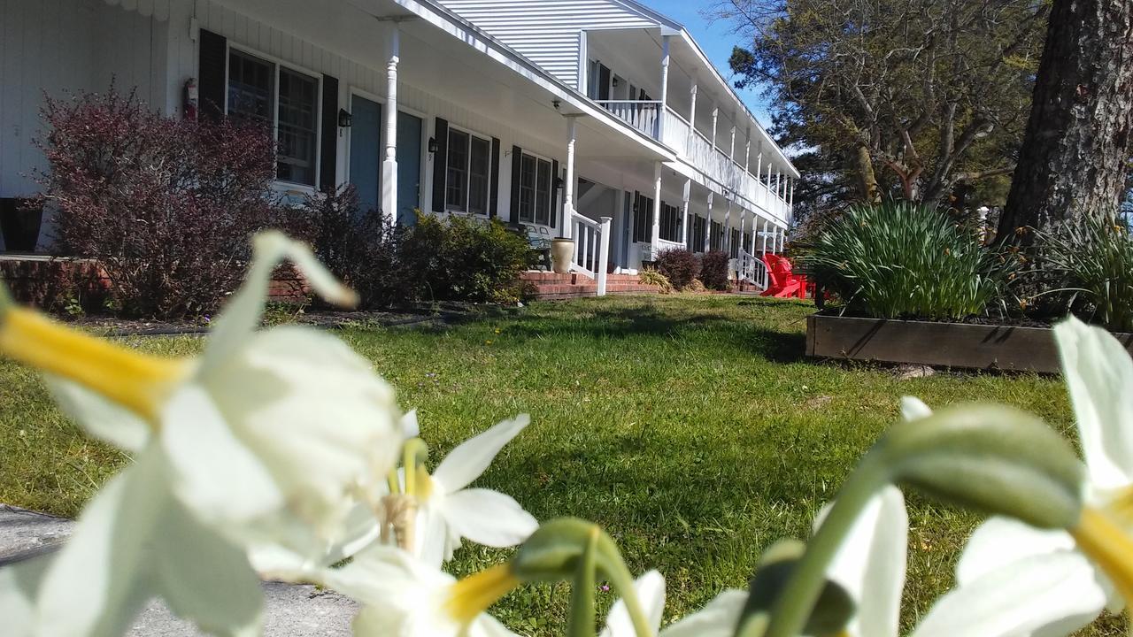 Sea Shell Motel Chincoteague Exterior foto